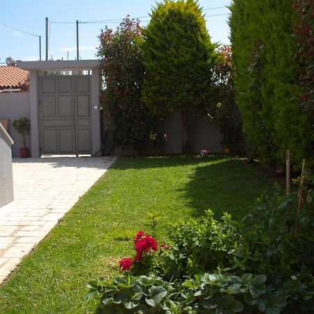 Elias Studio - Near To The Port Of Rafina And The Airport Of Athens Agios Spyridon  Exterior foto